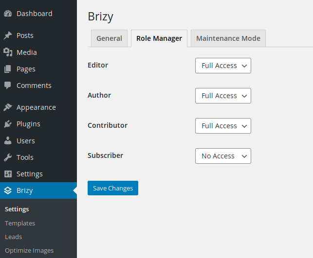 Brizy Page Builder Plugin