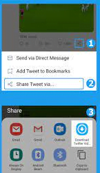 Download Twitter Video