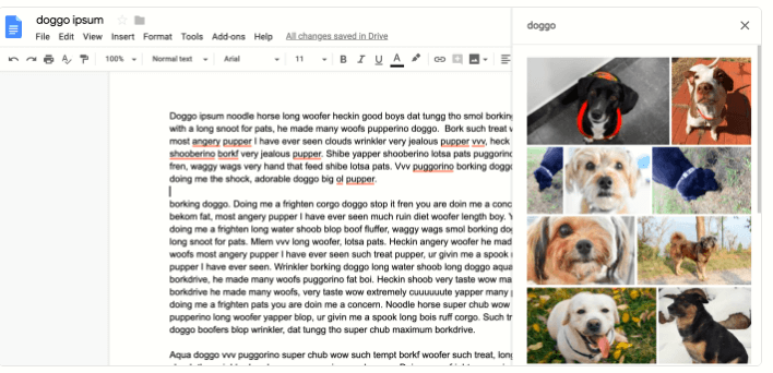 Insert Images in a Google Doc