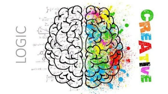 Secrets of the Creative Brain