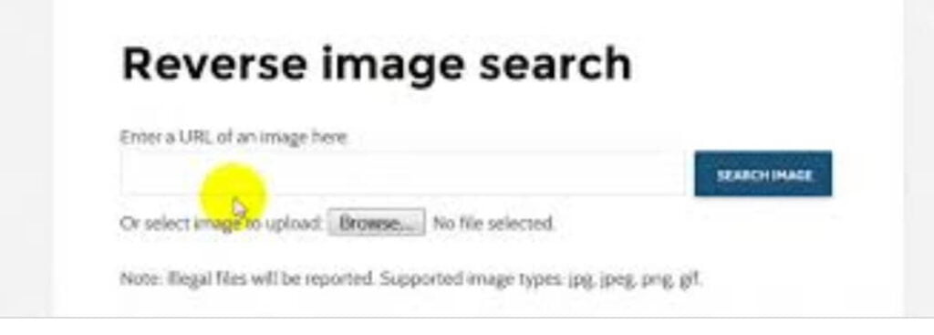 Reverse Image Search