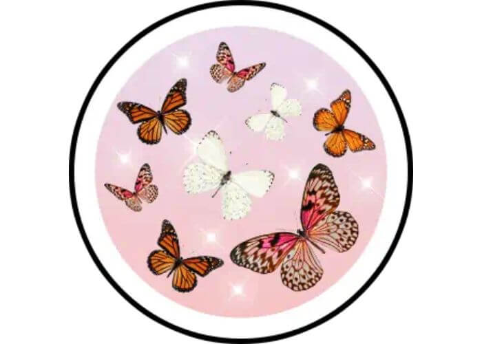 Snapchat Butterflies Lens