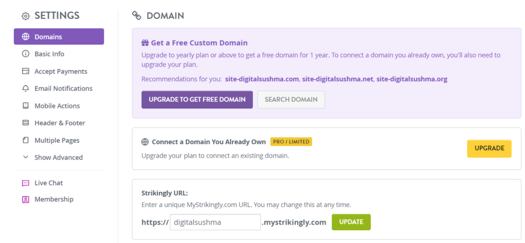 Strikingly Domain option, 