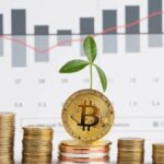 Cryptocurrency Investing Tips